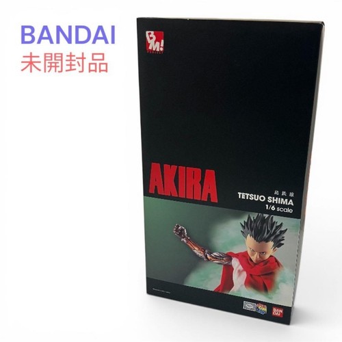 Akira meditom toy tetsuo - tetsuo, shima
