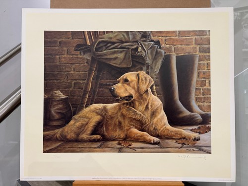 Nigel hemming patience - hemming,