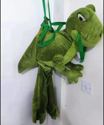 Boys green dinosaur fancy - boys,
