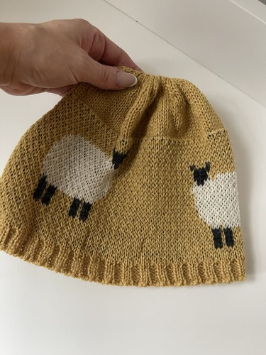 Diddly squat farm hat - squat,