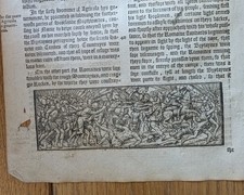 Original Illustrated Leaf -