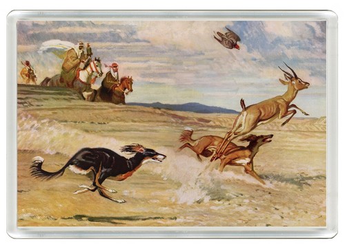 Saluki dog fridge magnet - saluki,