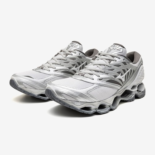 Mizuno wave prophecy - mizuno,