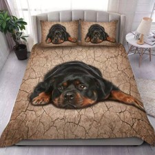 Rottweiler Dog Cracked Soil