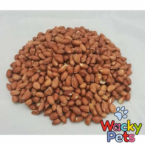 Peanuts for wild birds - for,