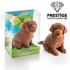 Chocolate Labrador Dog Gift Belgian Milk Chocolate Novelty Christmas Present