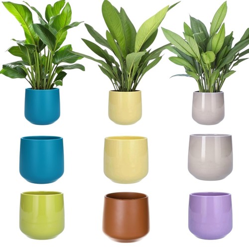 Stylish ceramic indoor - stylish,