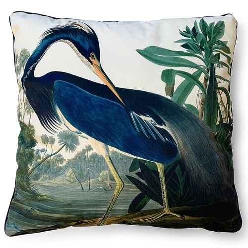 John james audubon licensed - john,