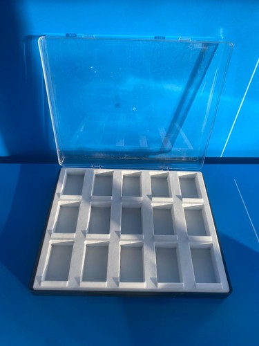 Large insect inclusion resin - large,