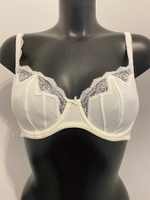 Shapely Figures Ivory Cream