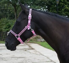 HORSE DIAMONTE WEBBING HEAD