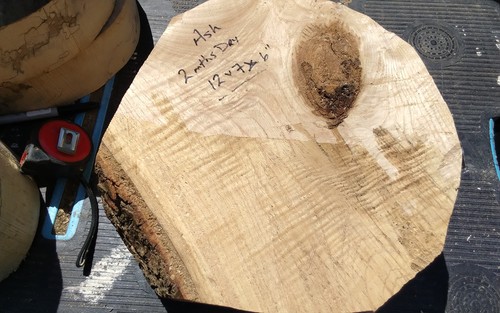 Large spalted ash bowl blank - ash,