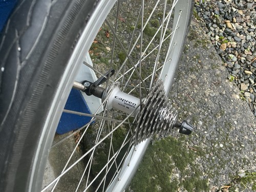 Shimano capreo rear hub - rear,