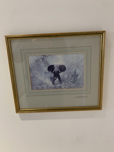 David shepherd signed - signed, coloured