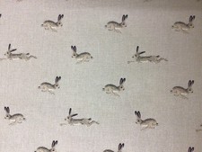 Sophie Allport Hare on Neutral