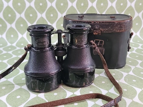 Small pair vintage iris de - pair,