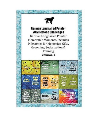German longhaired pointer - longhaired, 20