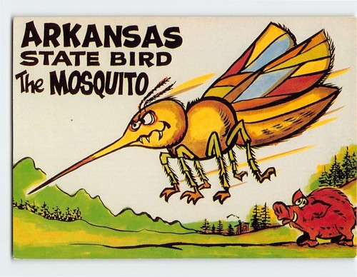 Postcard the mosquito - the, arkansas