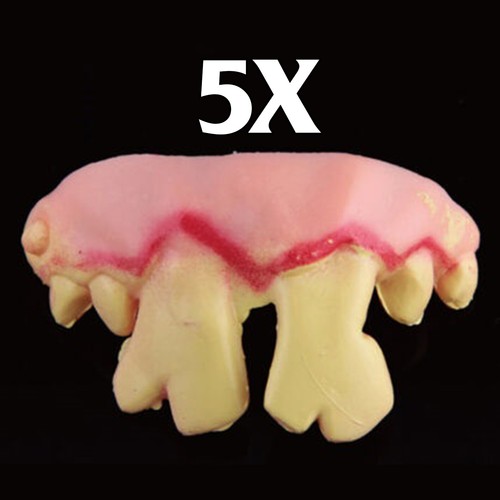 Funny joke teeth - funny,