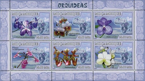 Orchids stamp flowers - orchids,