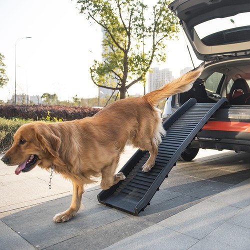 Large heavy duty pet - duty, ramp