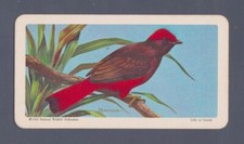 Brooke Bond Tea Cards  - UK /