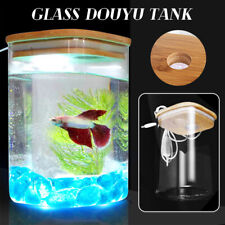 Betta Fish Tank Transparent