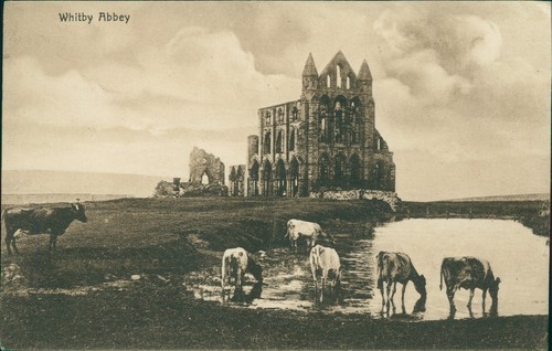 Whitby abbey 1924 postmark - 1924,