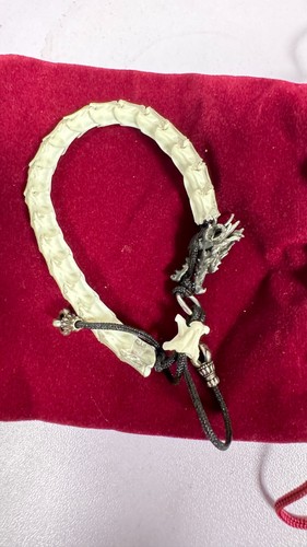 Dragon head snake bone - dragon,