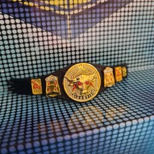 Brahma Bull Rock Championship