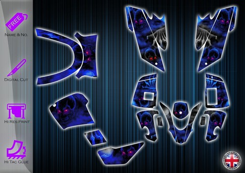 Quadzilla 250e stickers - quadzilla,