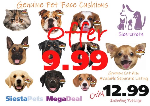 Rosewood pets face pet - pets, face's