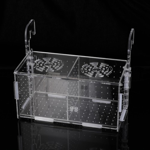 Fish quarantine box aquarium - fish,