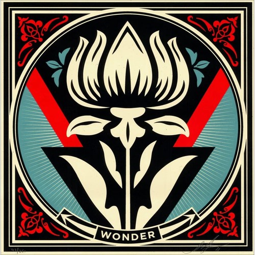Shepard fairey screen - shepard,