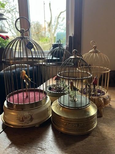 Singing bird cage - bird,