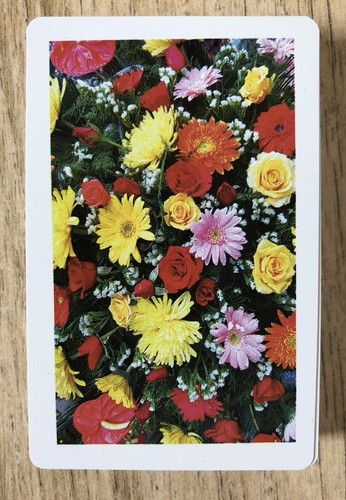 Pack veekay modern floral - of,