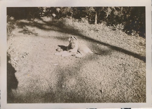 Snapshot vintage small photo - small,