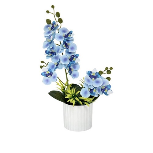 Faux phalaenopsis orchid - phalaenopsis, in