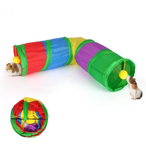 Rypet guinea pig tunnels - pig,