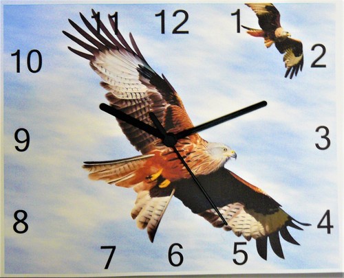 Red kite wall - red,