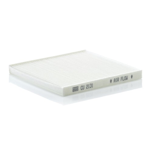 Particulate cabin pollen - particulate,