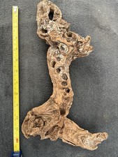 Aquarium Natural Driftwood Fish Tank Terrarium Bogwood Wood Root Decoration