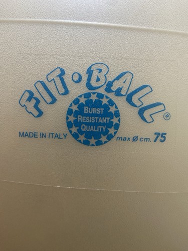 Large fit ball pilates - large,