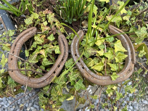 Horseshoe genuine used - 2, x