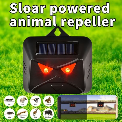 Solar led flashing - solar, cat