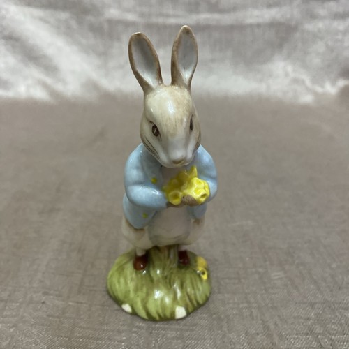 Beatrix potter royal albert - potter,