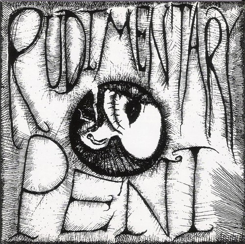 Rudimentary peni the - peni,
