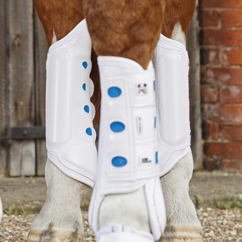 Premier equine air cooled - equine,