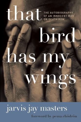 That bird has - my, wings: