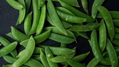 Sugar snap pea plug plants - snap,